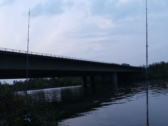 Main (Frankfurt-Griesheim)-3