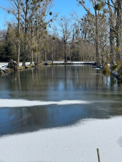 Tankfalle (Geilenkirchen)-1