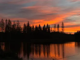 Harderbacher Teich-1