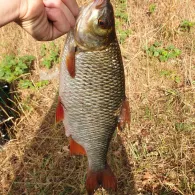 Twentekanaal (Delden)-3