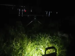 Steinbruch Vogelberg (Kamenz)-3