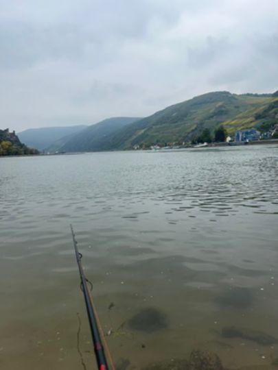 Rhein (Trechtingshausen)-1