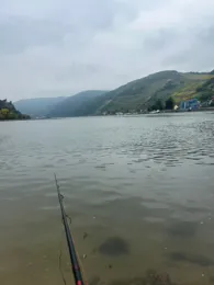 Rhein (Trechtingshausen)-1