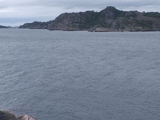 Rosfjord-2