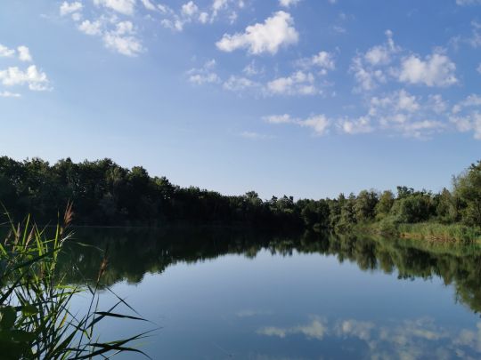 Heiglweiher Ost (Geisling)