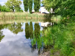 Dr.-Götz-Teich (Magdeburg)-4