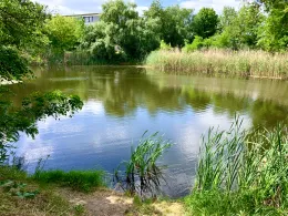 Dr.-Götz-Teich (Magdeburg)-1