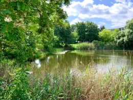 Dr.-Götz-Teich (Magdeburg)-2