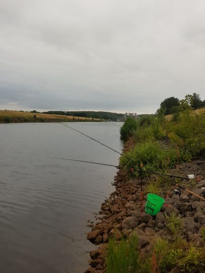 Elbe-Seitenkanal (Scharnebeck) angeln