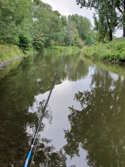 Bode (Staßfurt) angeln