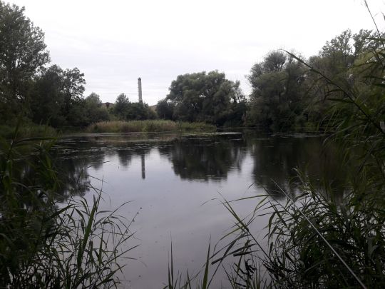 Carsdorfer Teiche-1