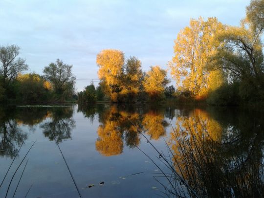Carsdorfer Teiche-2