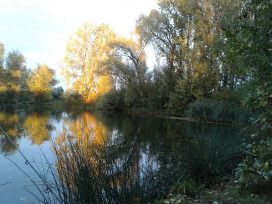 Carsdorfer Teiche-4