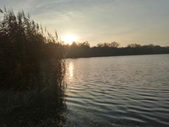 Waldbad (Lauer)