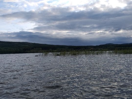 Kläggen-2