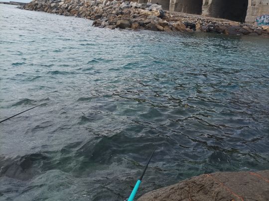 Mittelmeer (Imperia)-0