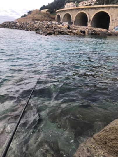 Mittelmeer (Imperia)-3