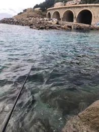 Mittelmeer (Imperia)-3