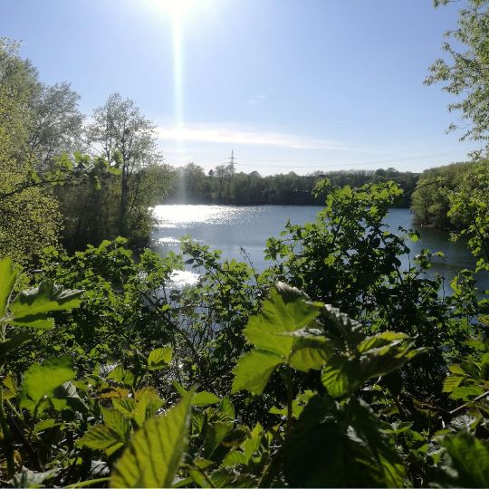 Heidbergsee (Braunschweig)-1