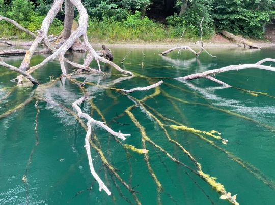 Deichelsee (Brüel)-2