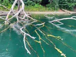 Deichelsee (Brüel)-2