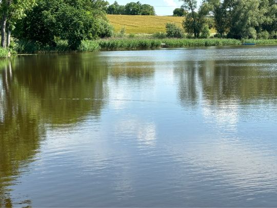 Hofsee (Kaluberhof)-1