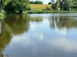 Hofsee (Kaluberhof)-1