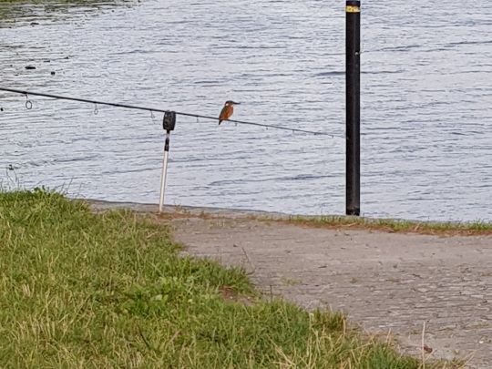 Eider (Süderstapel)-3