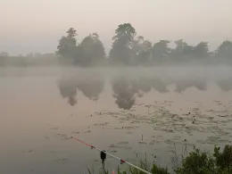 Eider (Süderstapel)