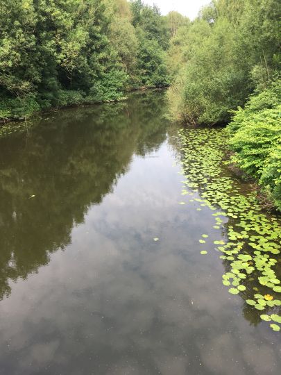 Ruhraltarm Rellinghausen-0