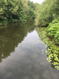 Ruhraltarm Rellinghausen-0