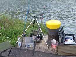 Mosel (Traben-Trarbach)-1