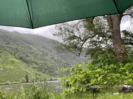 Mosel (Traben-Trarbach)