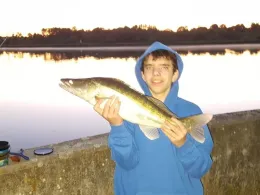 Donau (Vohburg an der Donau)