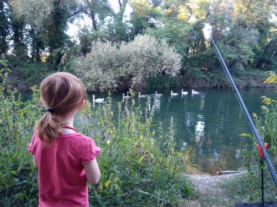 Canal de Neuf-Brisach-2