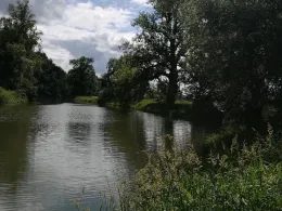 Sulzbach (Sulzbach a. d. Rott)