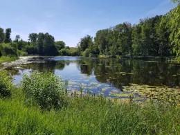 Staubecken der Panke (Bernau)