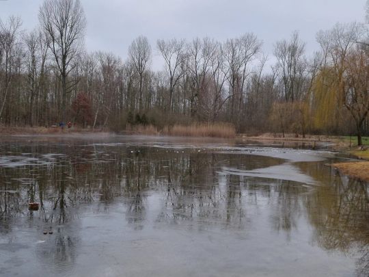 Staubecken der Panke (Bernau)-3