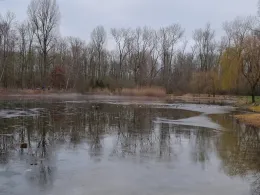 Staubecken der Panke (Bernau)-3