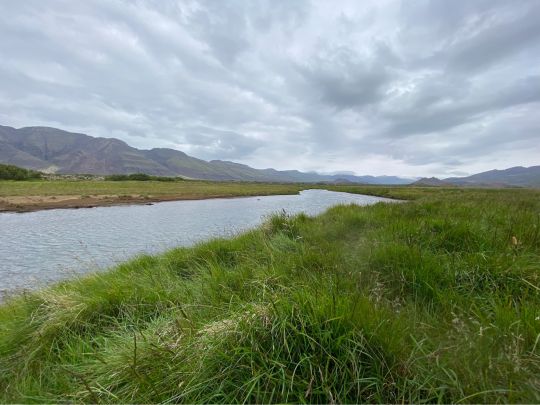 Hítará (Stadharhraun)-4