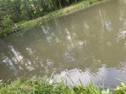 Rotterweiher (Roetgen)