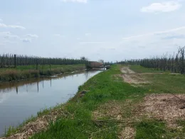 Weddern (Hollern-Twielenfleth)