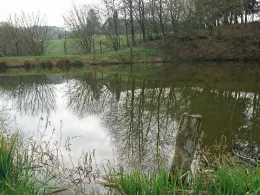 Angelpark Much (Engeld)-0