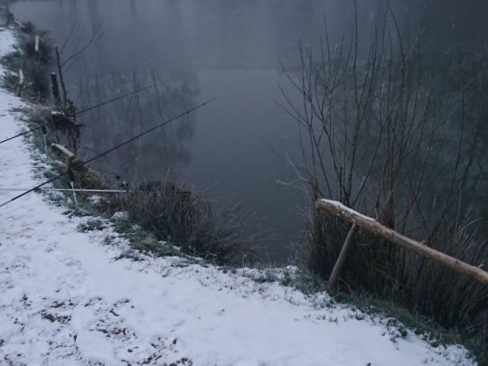 Angelpark Much (Engeld)