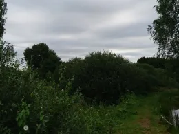 Angelpark Much (Engeld)-4