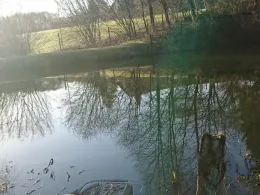 Angelpark Much (Engeld)-1