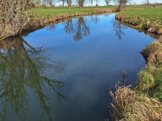 Strogen (Fraunberg)-1