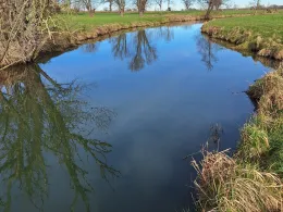 Strogen (Fraunberg)-1