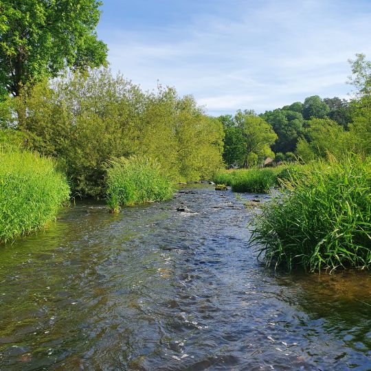 Mandau (Zittau) ALLE ANGELN