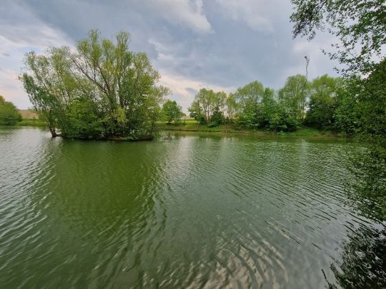 Braunsdorfer Badeteich-4